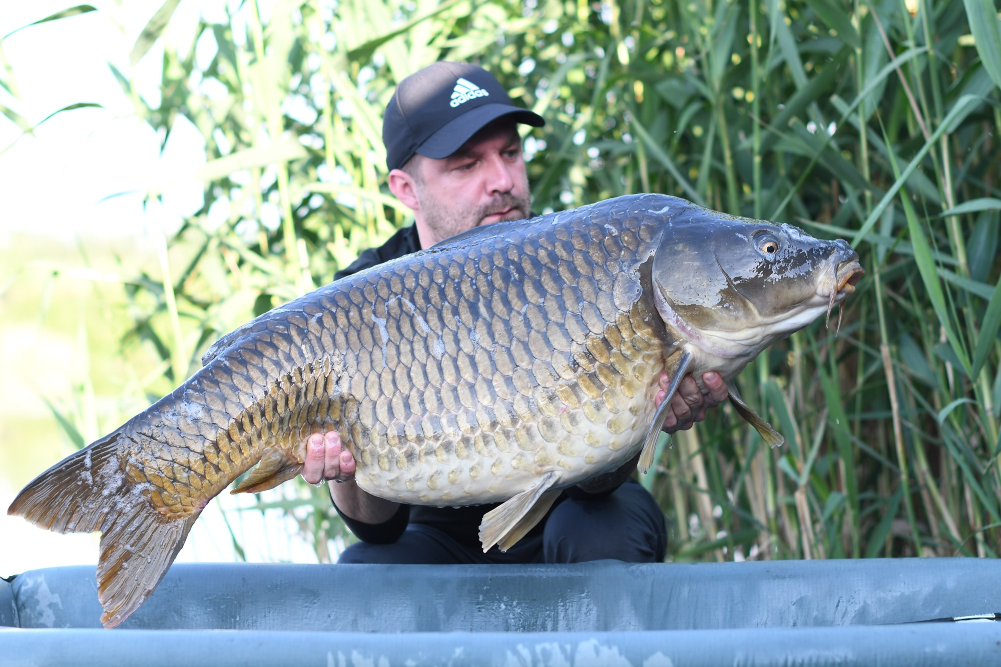 Tancabesti 29 mai - 2 iun. - DSC9611.jpg